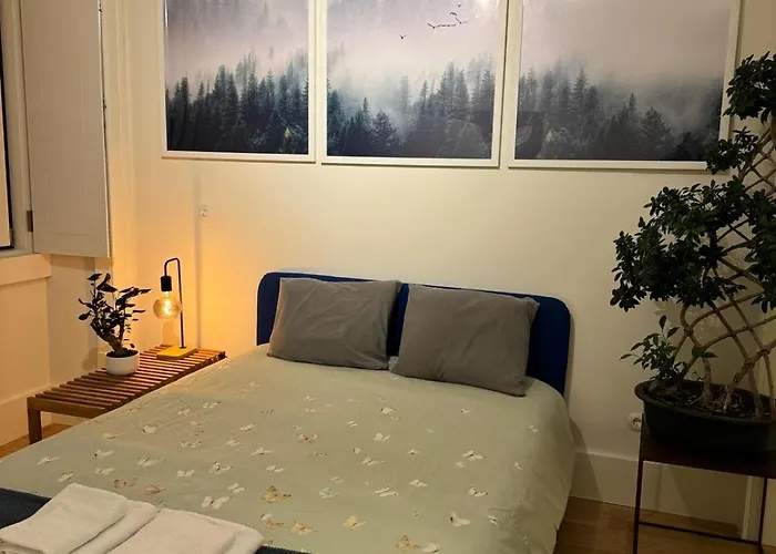 Homestay szállás Magnifico Com Wc Privativo Augusta Street *